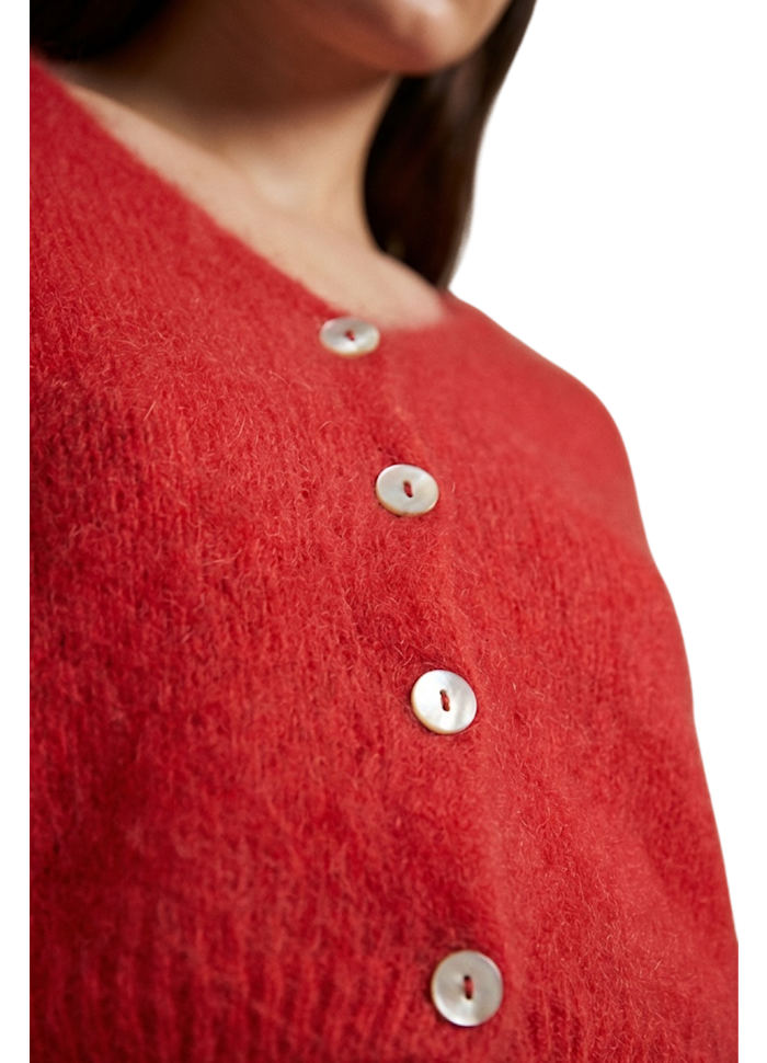 CORNELIA CROPPED